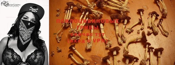 винт Богородск